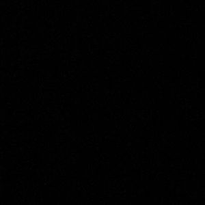 Meet your Posher, Tyson